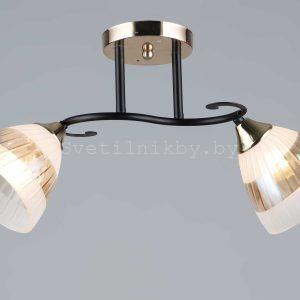 ЛЮСТРА 3919/2 FGD+BK