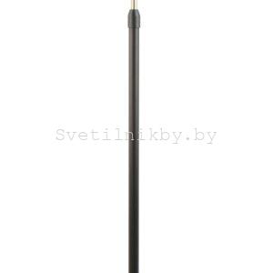 ТОРШЕР 4049AFL ANTIQUE BRASS+MATT