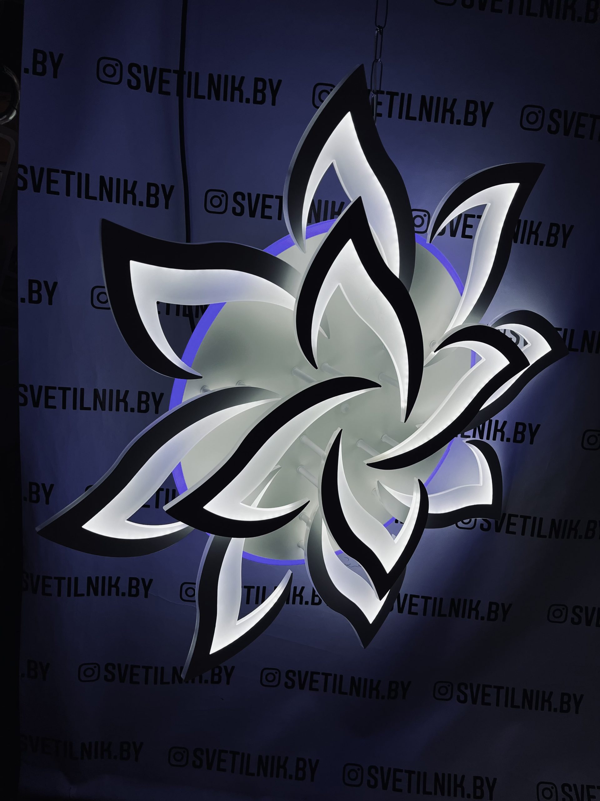 Умный Светодиодный светильник с возможностью управления пультом ДУ 19302/8+4 — изображение 2