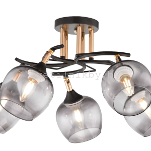 ЛЮСТРА 4728/5 CF+FG