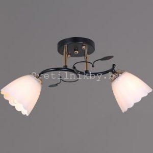 Люстра 10134-0.3-02 BK+FG