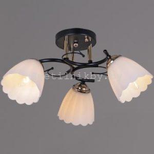 Люстра 10134-0.3-03 BK+FG