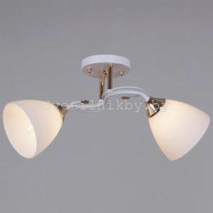 Люстра 06104-0.3-02 WH+FG