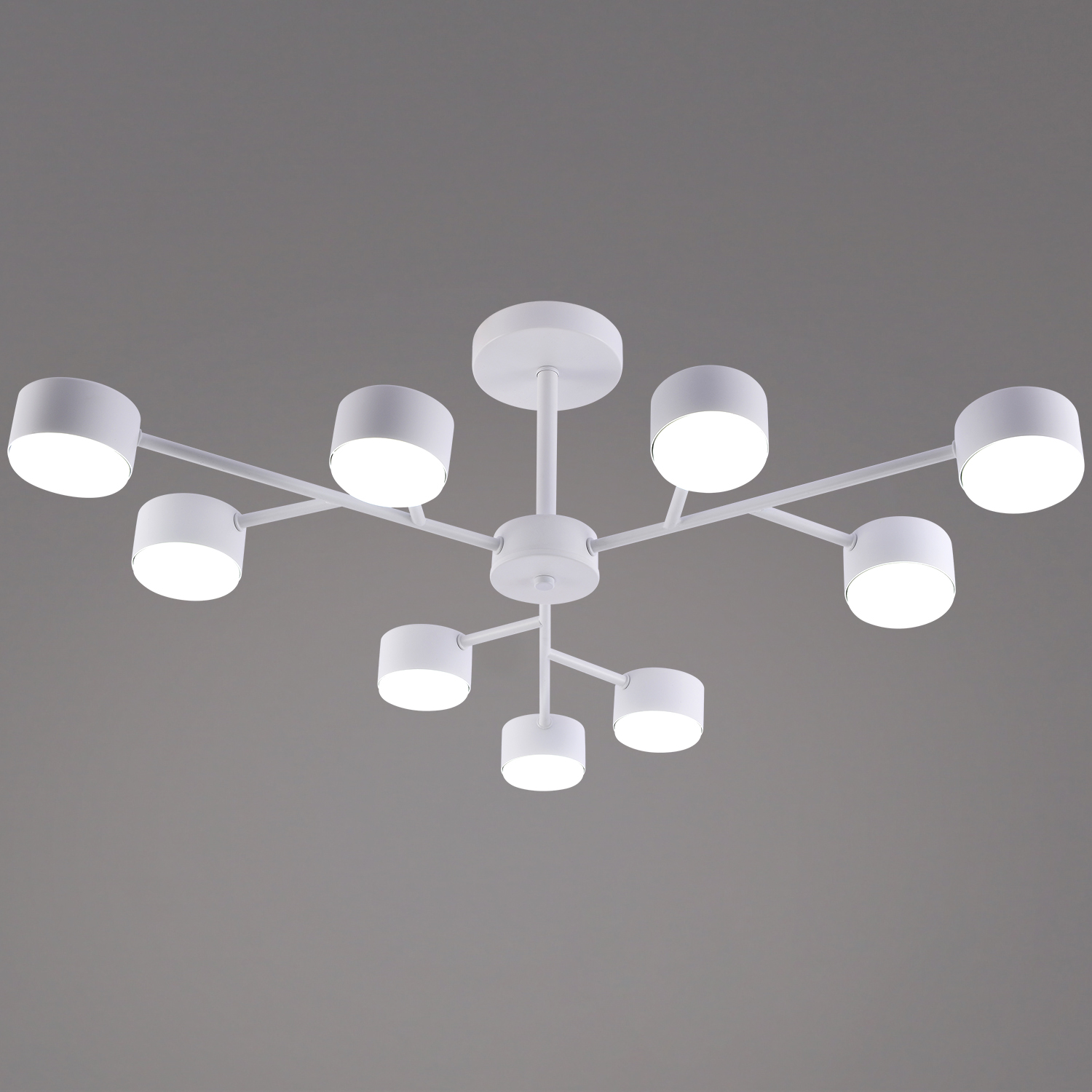 03726-0.3-09 WT GX53